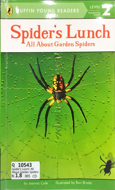 Spider's Lunch All About Garden Spiders