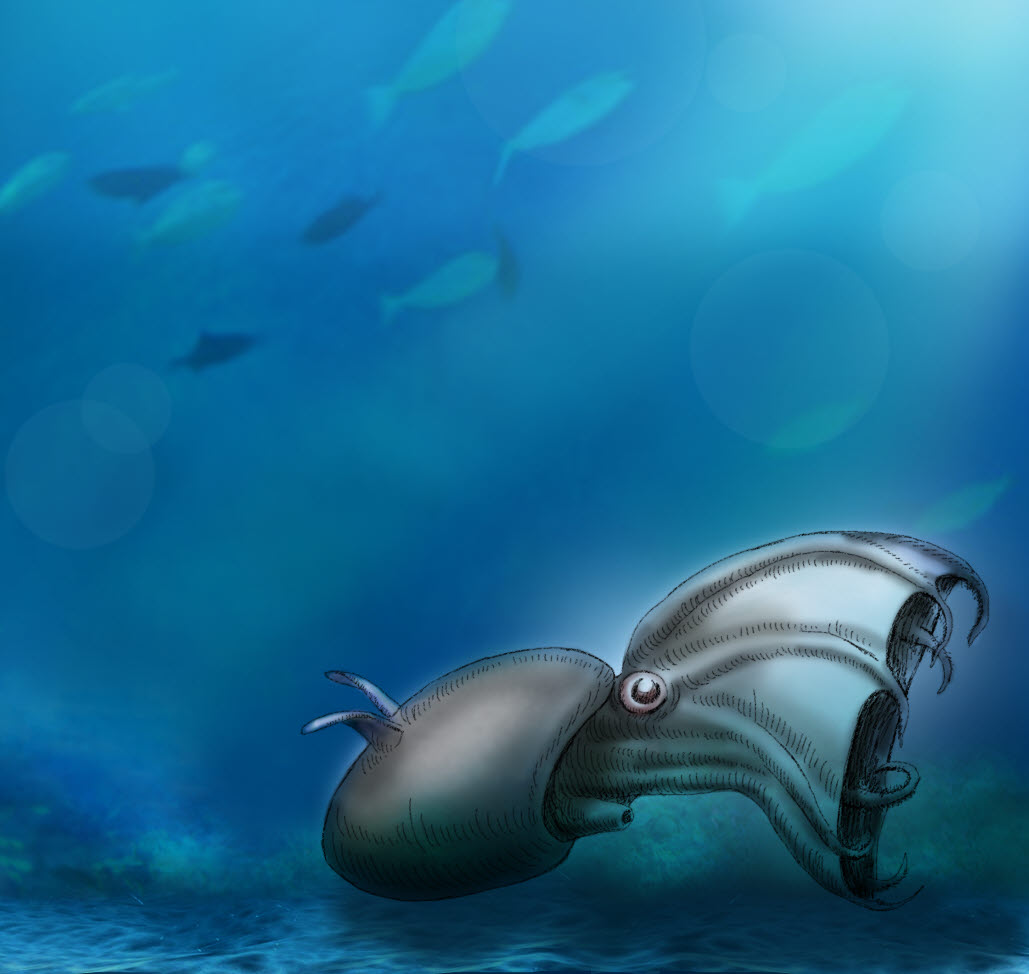 Unit 1 - Vampire Squid