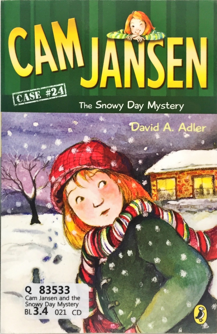 Cam Jansen and the Snowy Day Mystery
