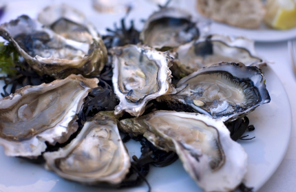 Unit 8 - Ugh, Oysters