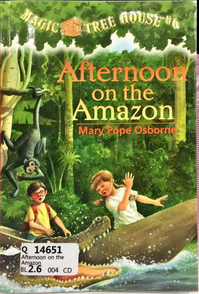 Afternoon on the Amazon