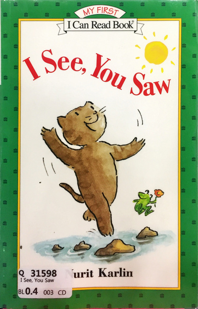 I See, You Saw