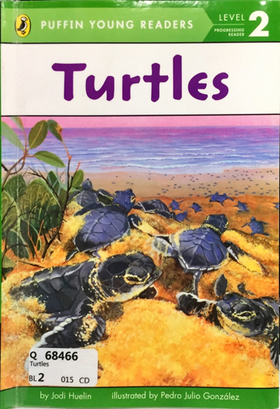 Turtles