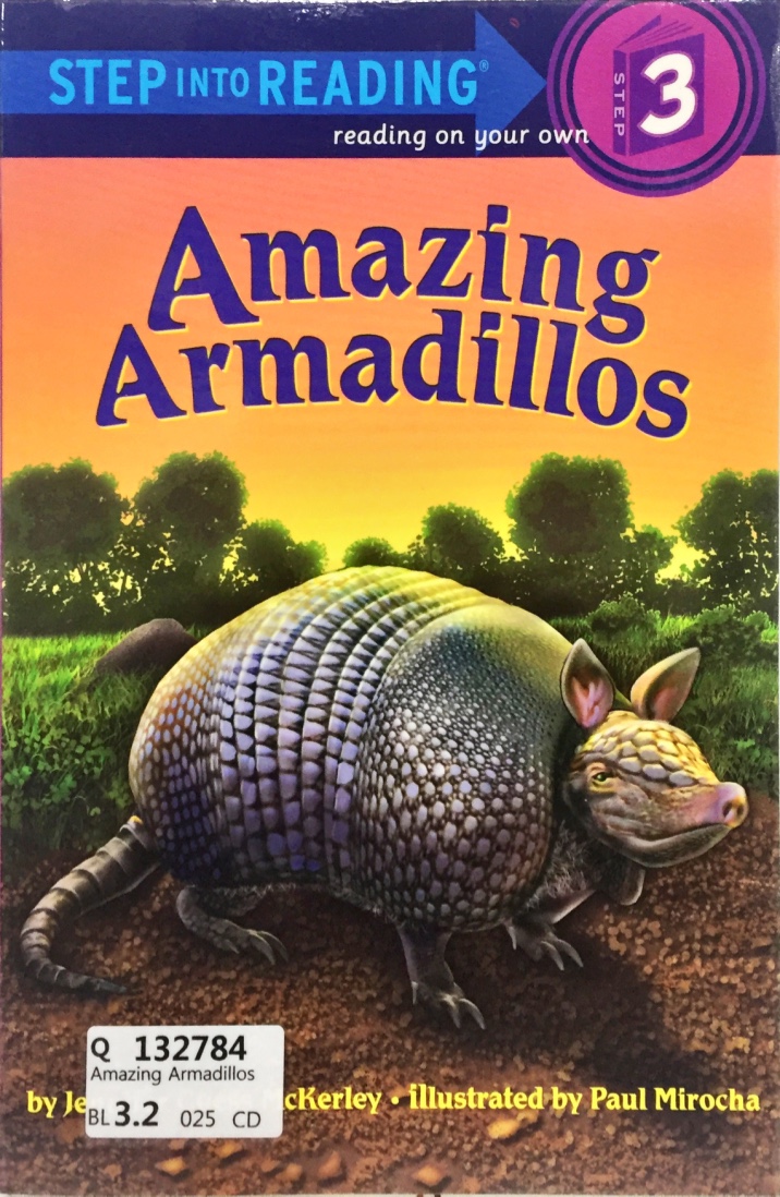 Amazing Armadillos