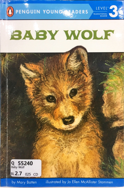 Baby Wolf