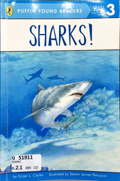 Sharks!