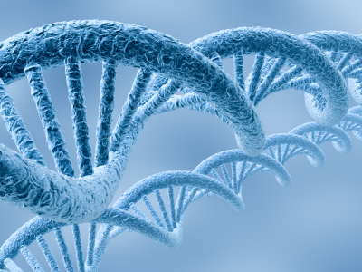 Chapter 2 - The DNA Proof