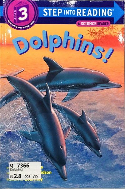 Dolphins!