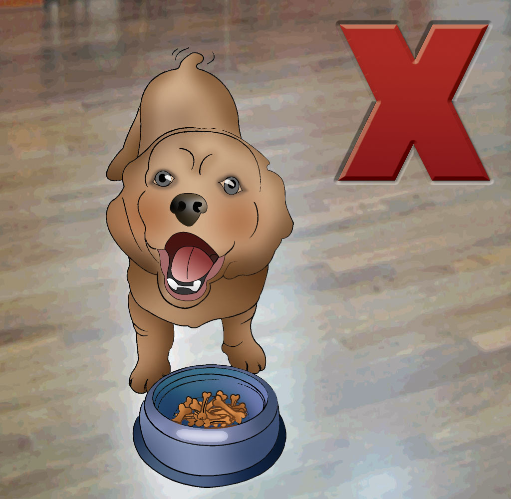 Unit 4 - Dogs are not Food
