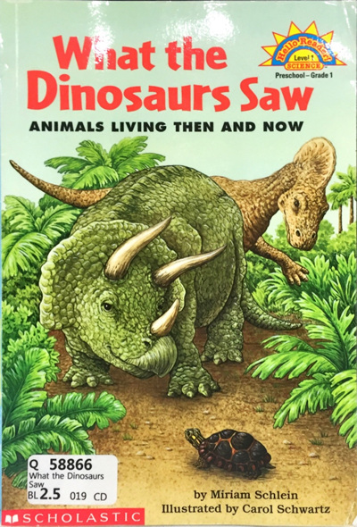 What the Dinosaurs Saw
