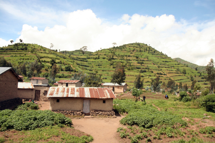 Unit 3 - A Trip to Africa