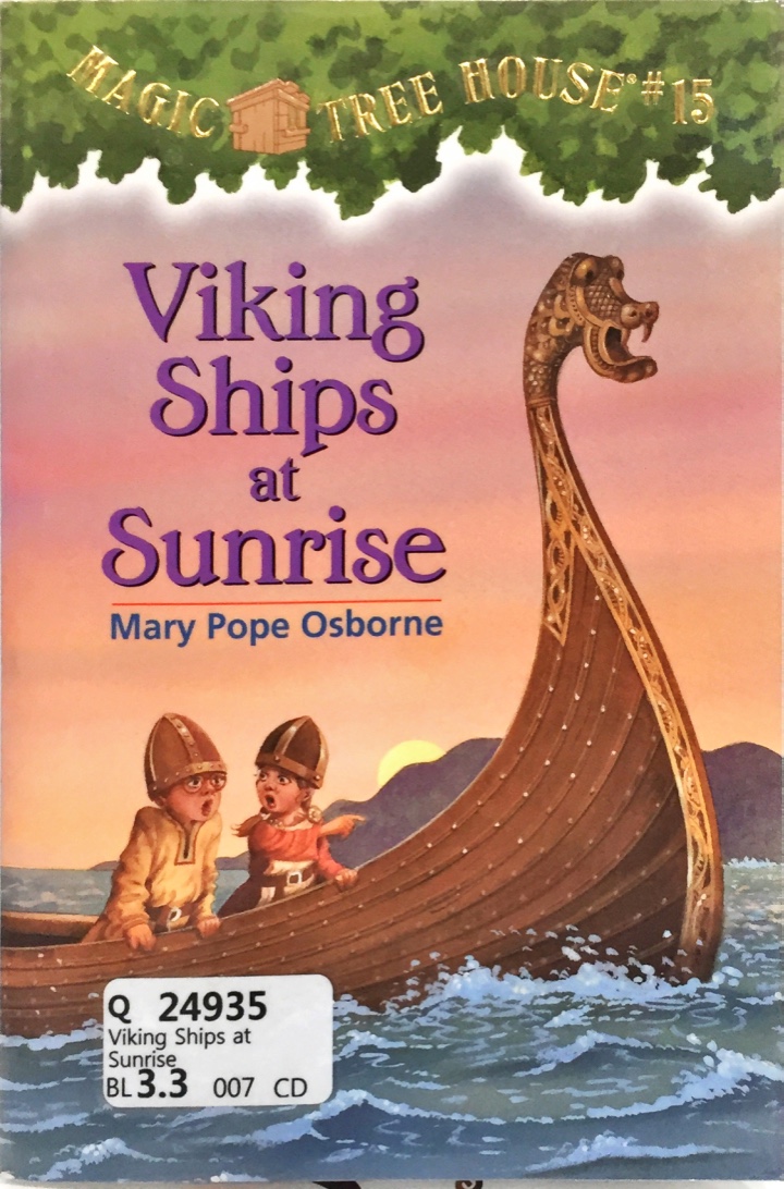 Viking Ships at Sunrise