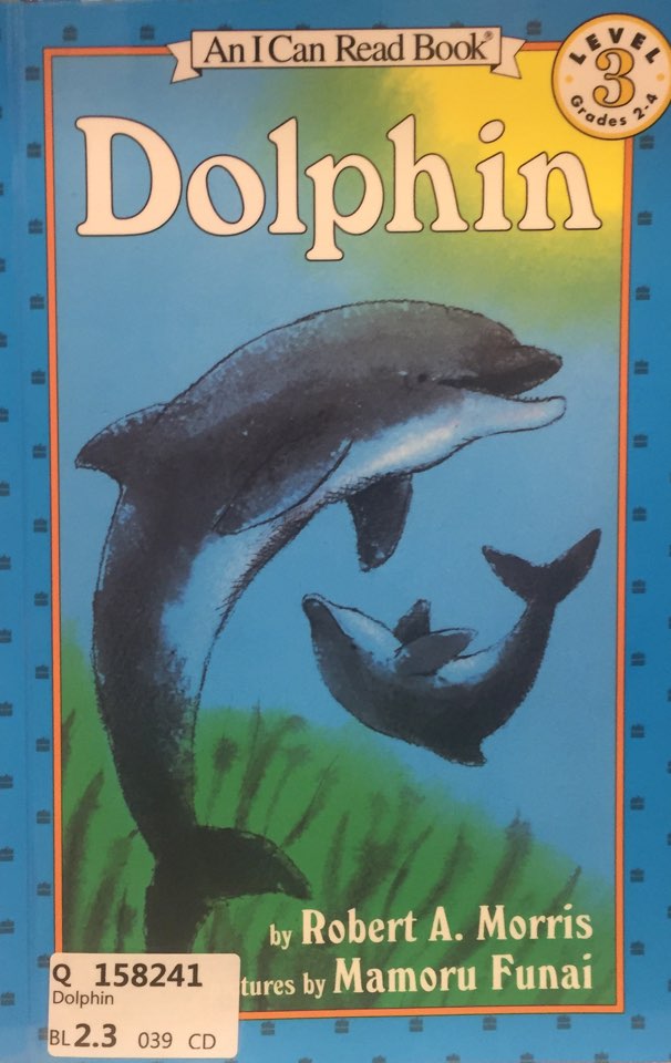 Dolphin