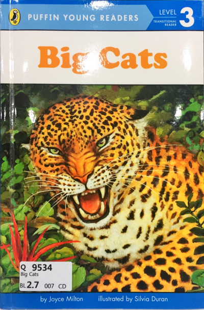 Big Cats