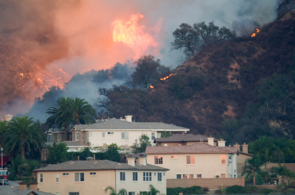 Unit 3 - Wild Brush Fire