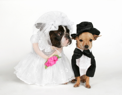 Unit 7 - Arranged Marriages