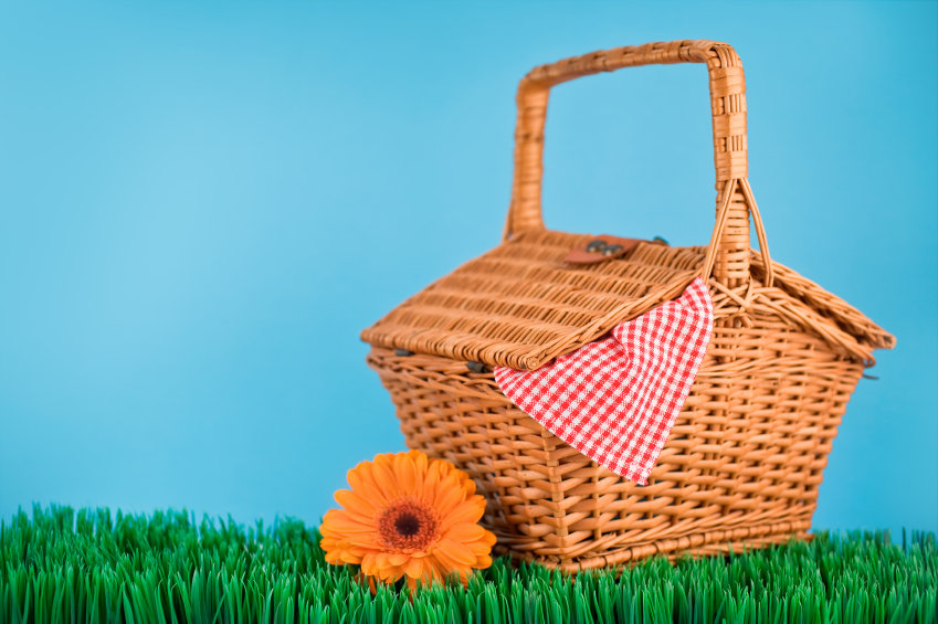Unit 6 - Picnic Day