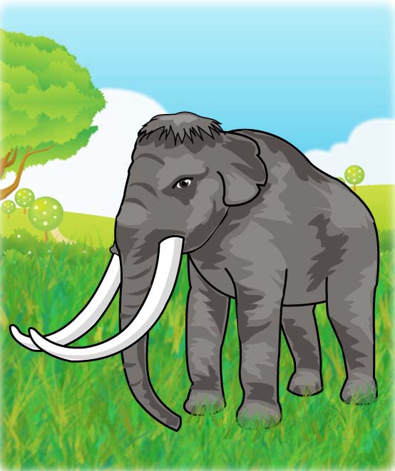 Unit 5 - Mammoth
