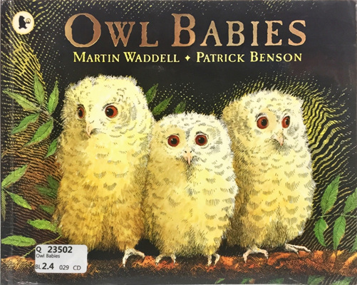 Owl Babies