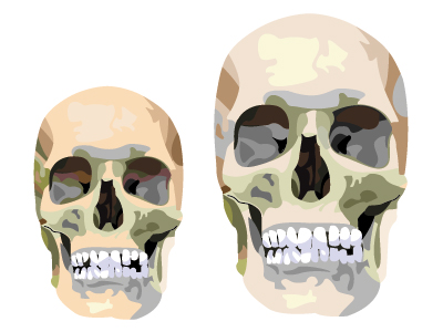 Unit 3 - Pro Evolution
