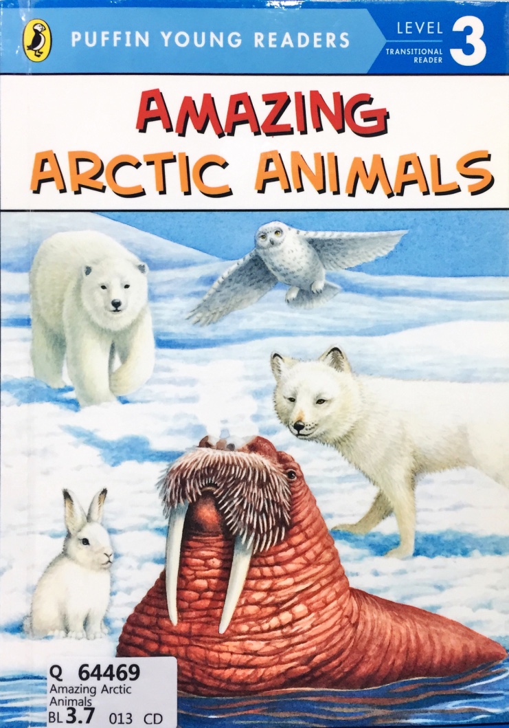 Amazing Artic Animals