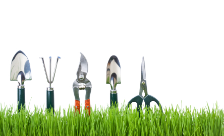 Unit 6 - Gardening