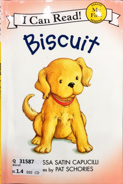 Biscuit