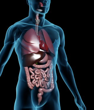 Unit 1 - Medical Science