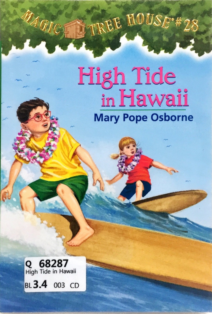 High Tide in Hawaii
