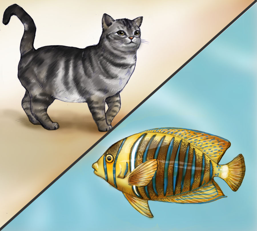 Unit 2 - Cats and Fish