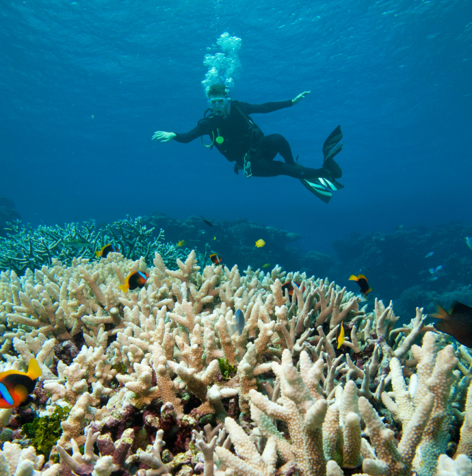Unit 1 - Great Barrier Reef