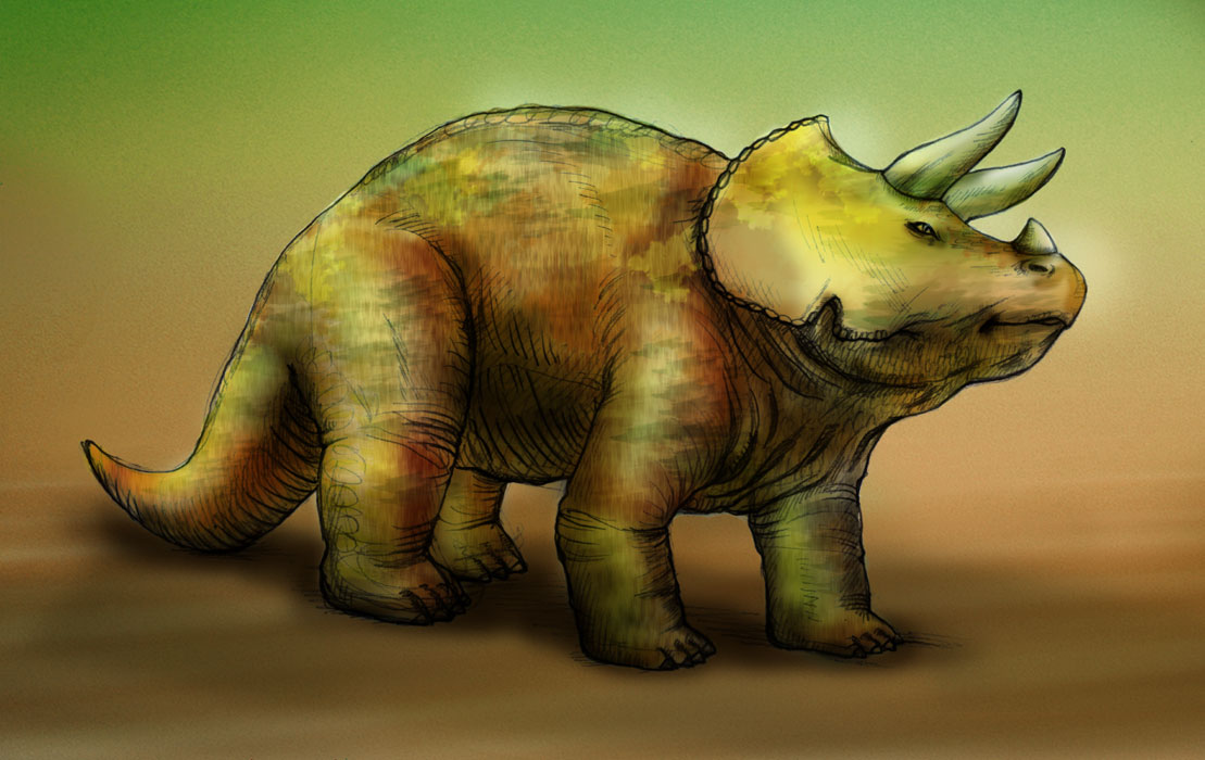 Unit 5 - Triceratops vs. Rhinoceros