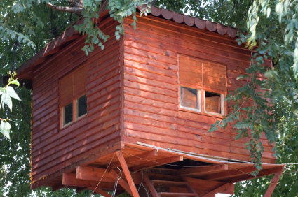 Chapter 2 - The Tree House