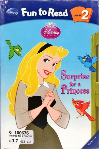 Surprise for a Princess