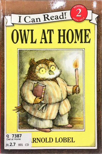Owl at Home
