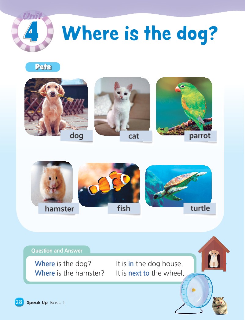 Unit 4 - Pets Around the house