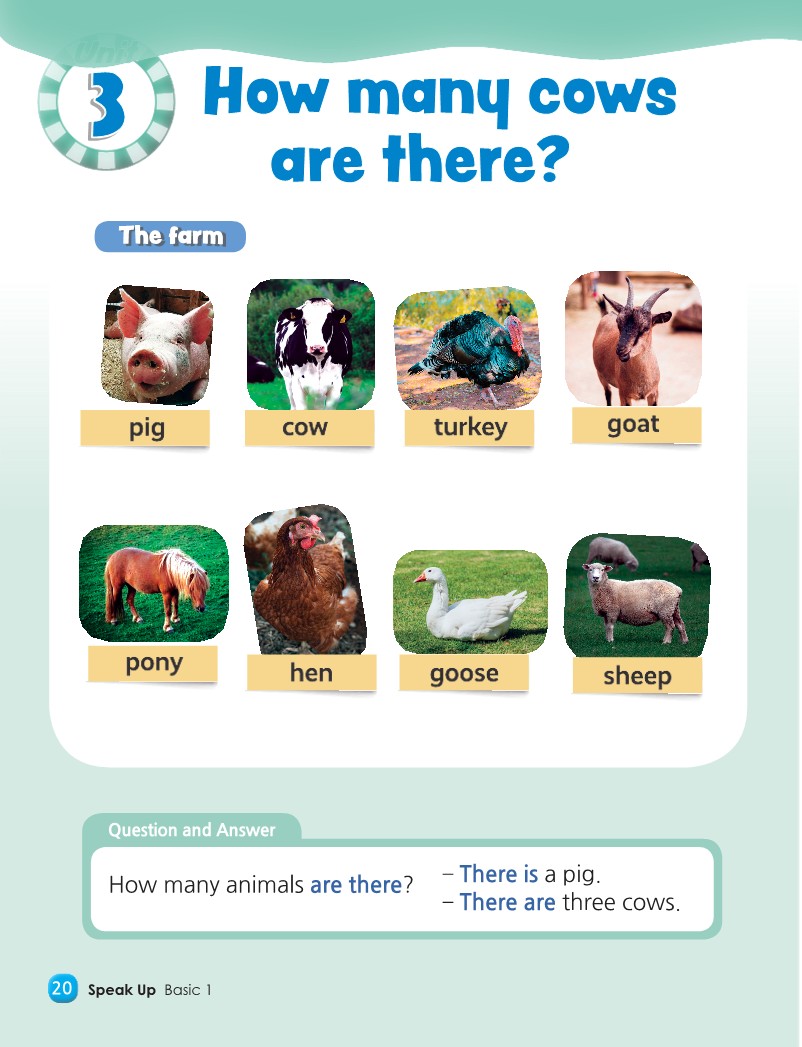 Unit 3 - The farm