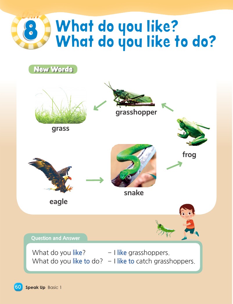 Unit 8 - A grasshopper likes grass