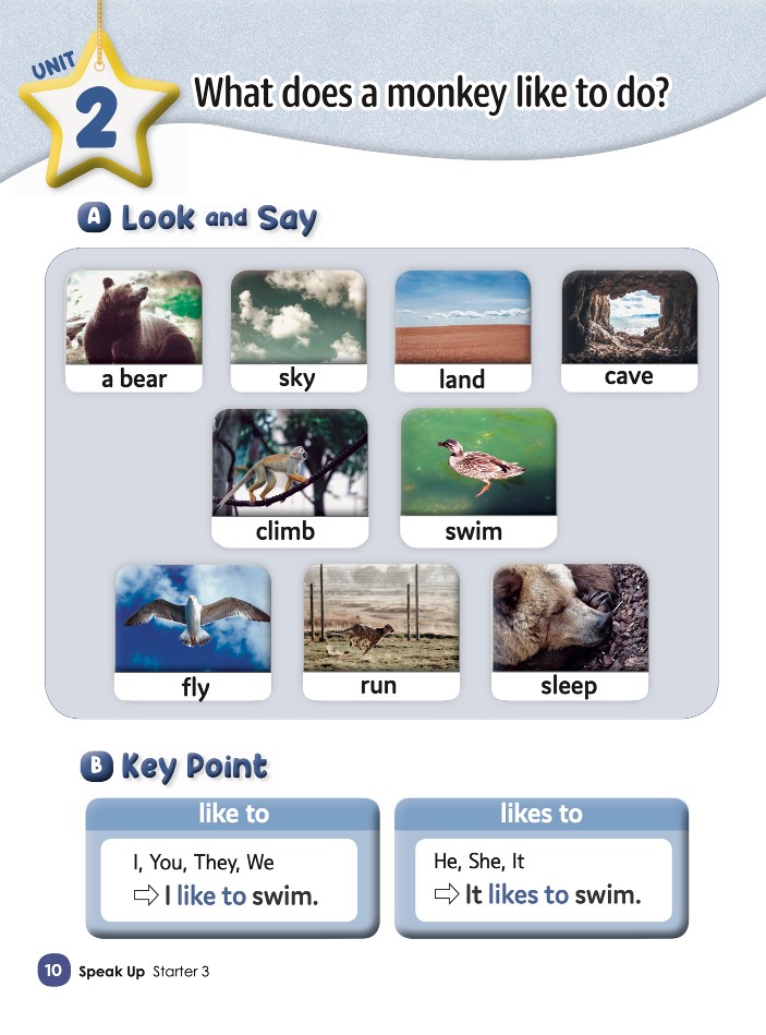 Unit 2 - What does a monkey like to do?