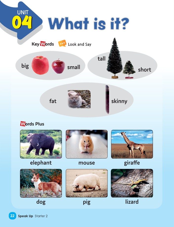 Unit 4 - What is it?