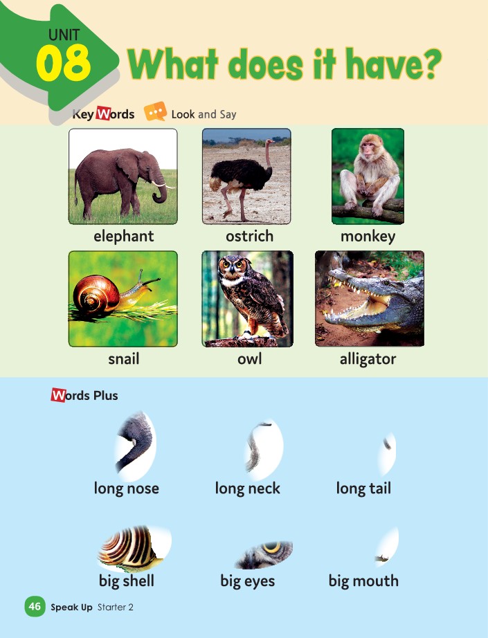 Unit 8 - What does it have?