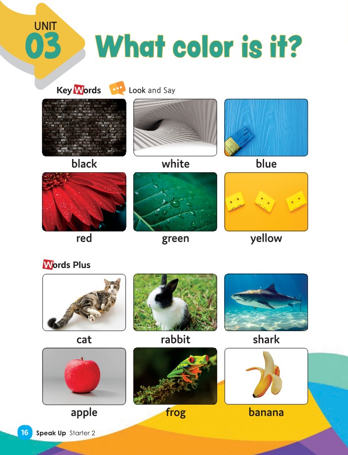 Unit 3 - What color is it?