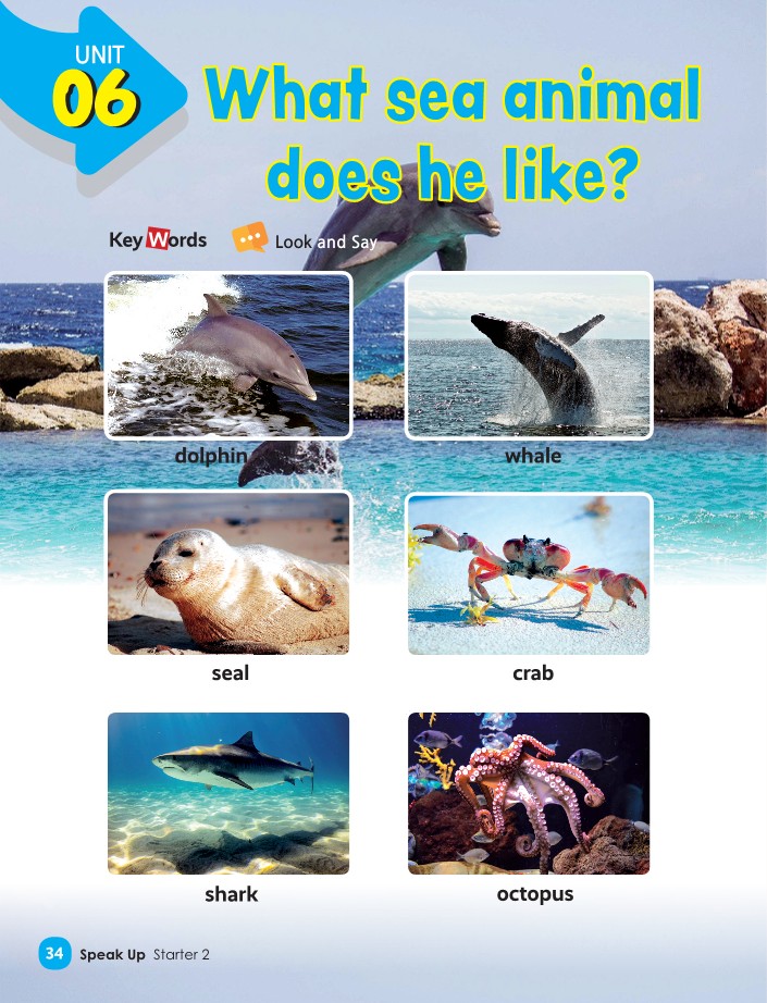 Unit 6 - What sea animal does he like?