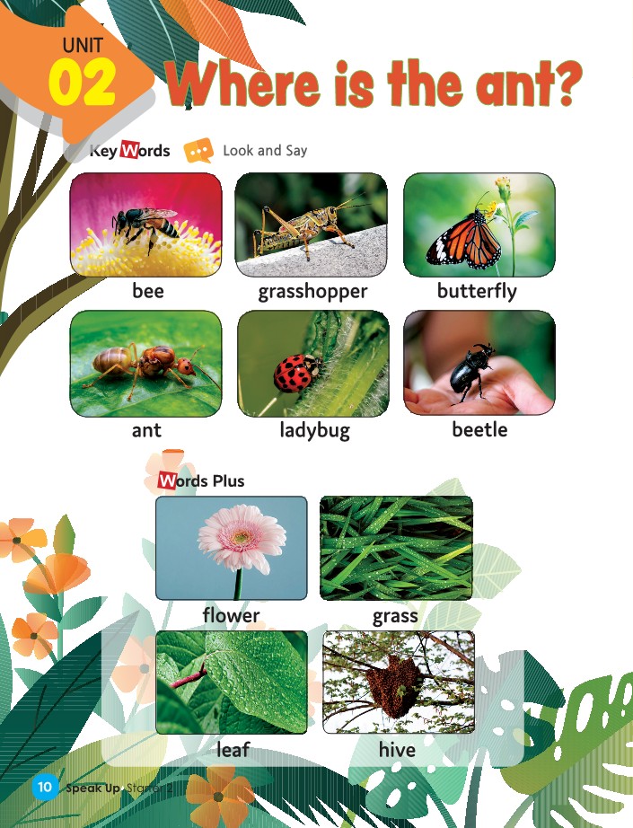 Unit 2 - Where is the ant?
